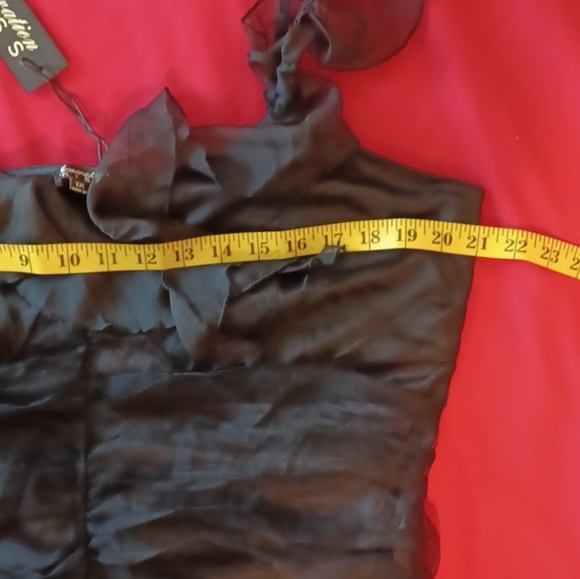 Black Bird - Picture 7 of 13